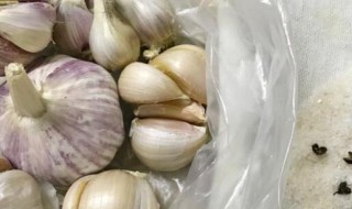 蒜子保存方法 大蒜子保存方法