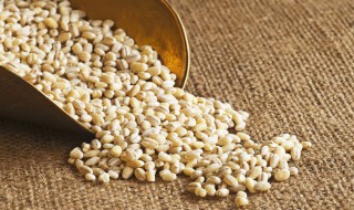 小麦保存方法（怎么保存小麦）