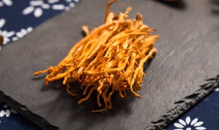 新鲜金孢虫草花保存方法 金虫草的保存方法