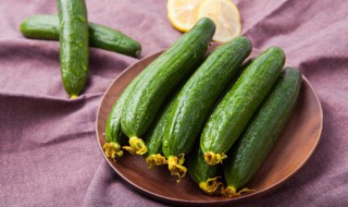 黄瓜可以放冰箱保鲜吗 西红柿可以放冰箱保鲜吗