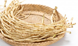 鱼腥草的保存方法（鱼腥草的保存方式）