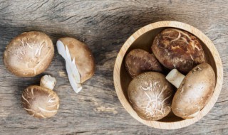 香菇可以放冰箱吗(新鲜香菇可以放冰箱吗)