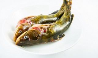 豉汁蒸黄骨鱼的做法（豆豉黄骨鱼怎么做好吃）