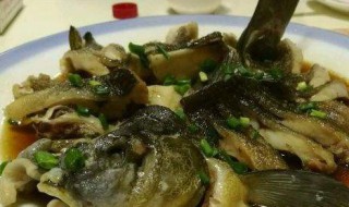 蒸黑鱼的做法 蒸黑鱼的做法和步骤