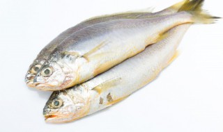 鱼怎么蒸家常做法(蒸鱼的做法?)