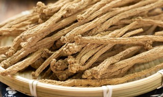 党参的保存方法（党参的贮藏保管方法）