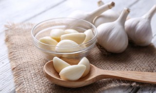 蒜的保存方法和时间（蒜的储存方法和时间）