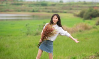 新疆喀纳斯旅游攻略（新疆喀纳斯旅游景点）