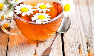 花茶保存方法（茶花怎么保存）