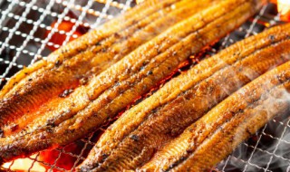 豆鼓蒸鳗鱼的做法 豆鼓鳗鱼的做法大全