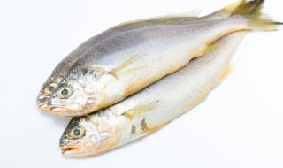 蒸大黄花鱼的家常做法（怎样蒸大黄花鱼）