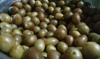 黄皮的保存方法如下 黄皮的储存保鲜方法