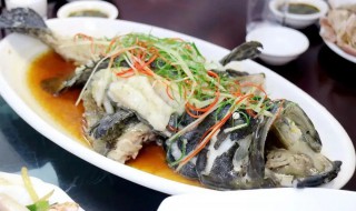 蒸老虎斑的做法（蒸老虎斑的做法大全）