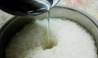 蒸米酒的做法(蒸米酒怎么做)