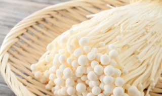 蒸蒜蓉金针菇的做法（蒜蓉蒸金针菇最简单的做法）