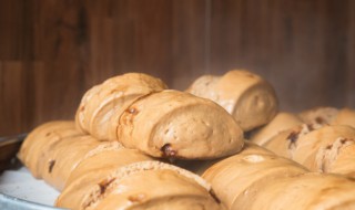 蒸红枣馒头的做法 蒸红枣馒头的做法大全窍门