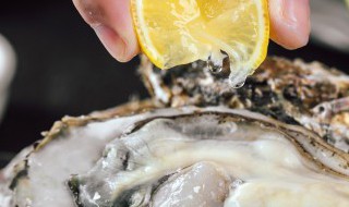 生蚝开口但是不臭能吃吗（生蚝轻微开口没有异味能吃吗）