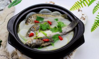 鲫鱼萝卜汤的做法又白又浓 鲫鱼白萝卜汤图片