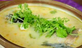 罗非鱼汤的做法又白又浓（罗非鱼能熬出白汤吗）