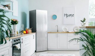 排骨在冰箱可以放多久（排骨做好放冰箱里能存放多久）