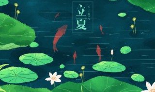 立夏过后种什么药材(立夏吃什么药)