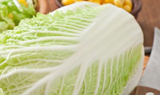 立夏北方能种什么蔬菜(立冬适合种什么蔬菜)