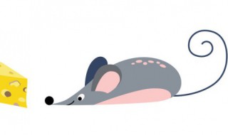 家里老是有老鼠怎么办 家里面老是有老鼠怎么办