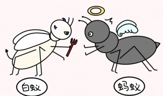 家里白蚁怎么办能除根（家里如何根除白蚁）