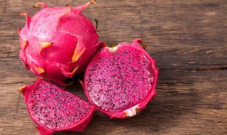 不带根火龙果树种植方法（有根的火龙果怎么种植,要注意什么?）