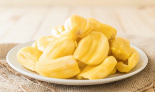 菠萝蜜果树种植方法 菠萝蜜树 种植