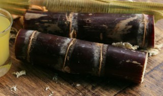 甘蔗运输中怎么保存方法 甘蔗的储存方法和注意事项