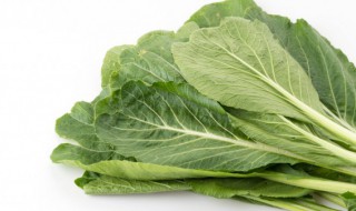 鲜芥菜保存方法（芥菜怎么保存时间长久）