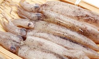 烤箱烤鱿鱼多长时间（烤箱鱿鱼烤多久）