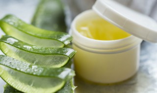 芦荟肉的保存方法(芦荟肉怎么保存)