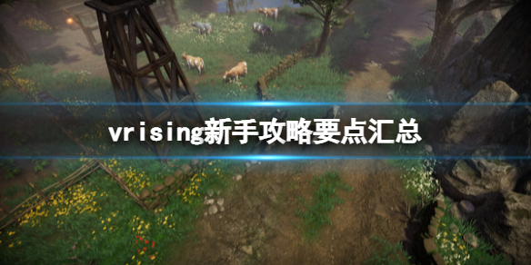 vrising新手攻略要点汇总