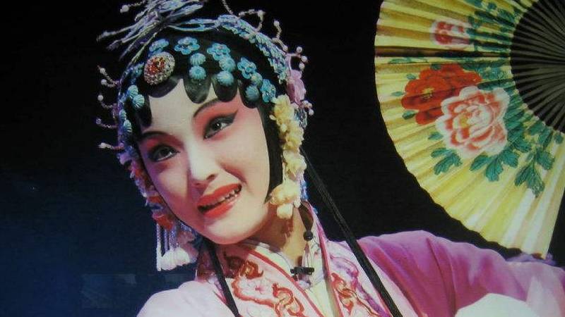 我国传统戏曲剧种有哪些（我国有哪些戏曲剧种呢）