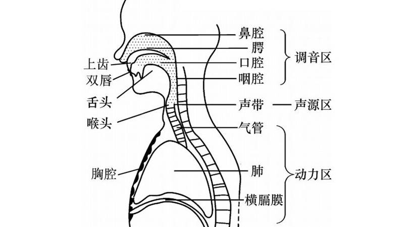 歌的唱法都有哪些 歌声有几种唱法?