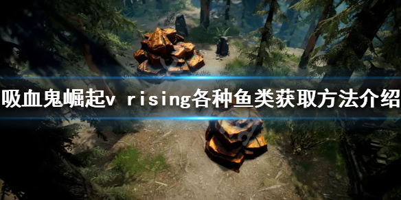 vrising鱼如何获得