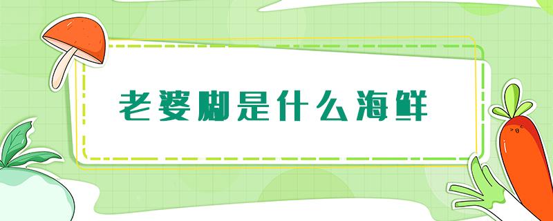 老婆脚是什么海鲜（老婆脚是什么海鲜多少钱）