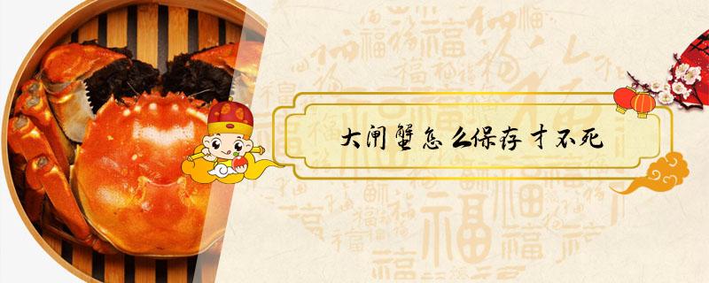 大闸蟹怎么保存才不死（大闸蟹咋样存放不死）