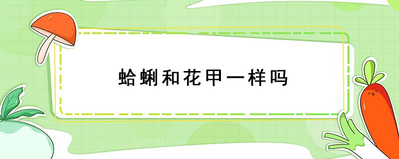 蛤蜊和花甲一样吗（蛤蜊和花甲一样吗图片）