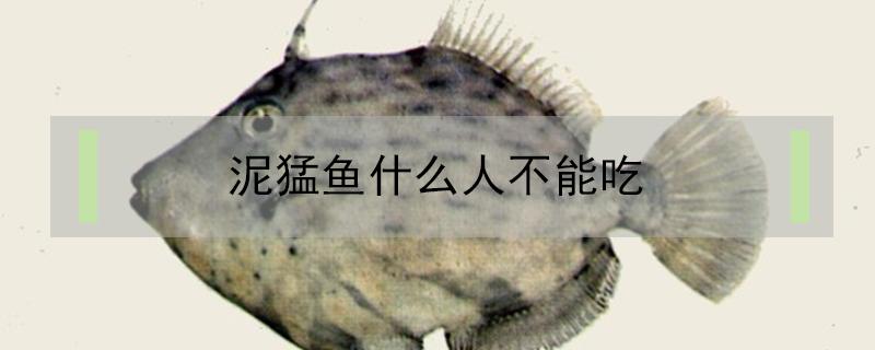 泥猛鱼什么人不能吃 泥猛鱼的营养价值禁忌