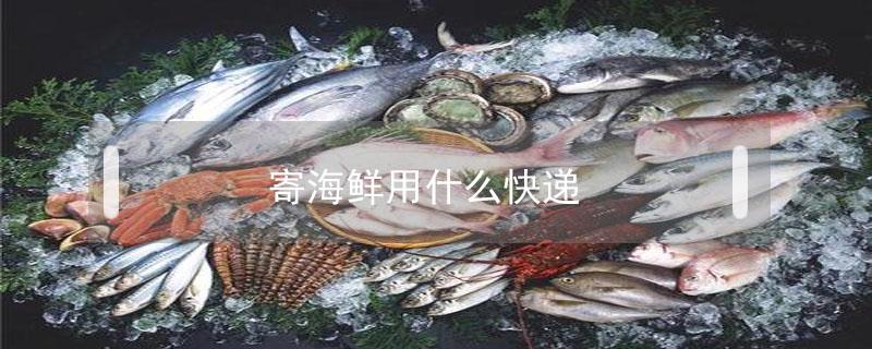 寄海鲜用什么快递 寄海鲜用什么快递呢多少钱