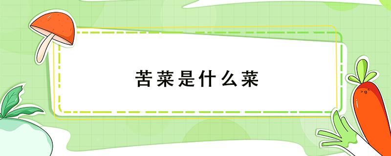 苦菜是什么菜(云南的苦菜是什么菜)