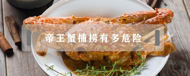 帝王蟹捕捞有多危险（帝王蟹为什么难捕捞）