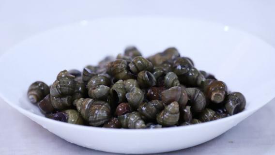 田螺放冰箱能保存多久 炒田螺放冰箱可以保存几天