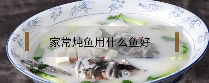 家常炖鱼用什么鱼好 鱼用什么炖好吃