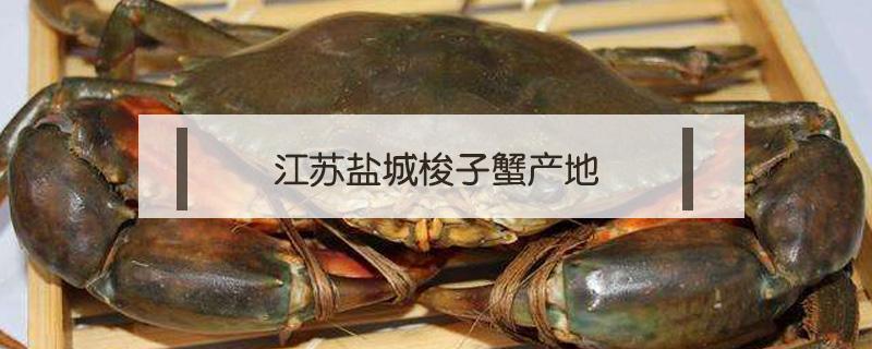 江苏盐城梭子蟹产地 梭子蟹 产地