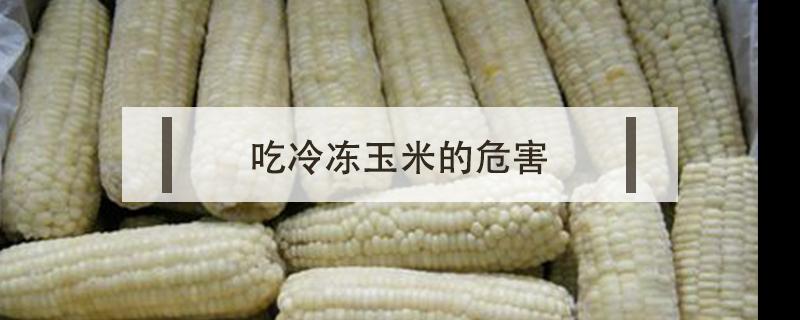 吃冷冻玉米的危害（玉米有什么危害）