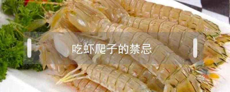 吃虾爬子的禁忌(吃虾爬子的禁忌吃虾爬子然后吃木耳可以吗)